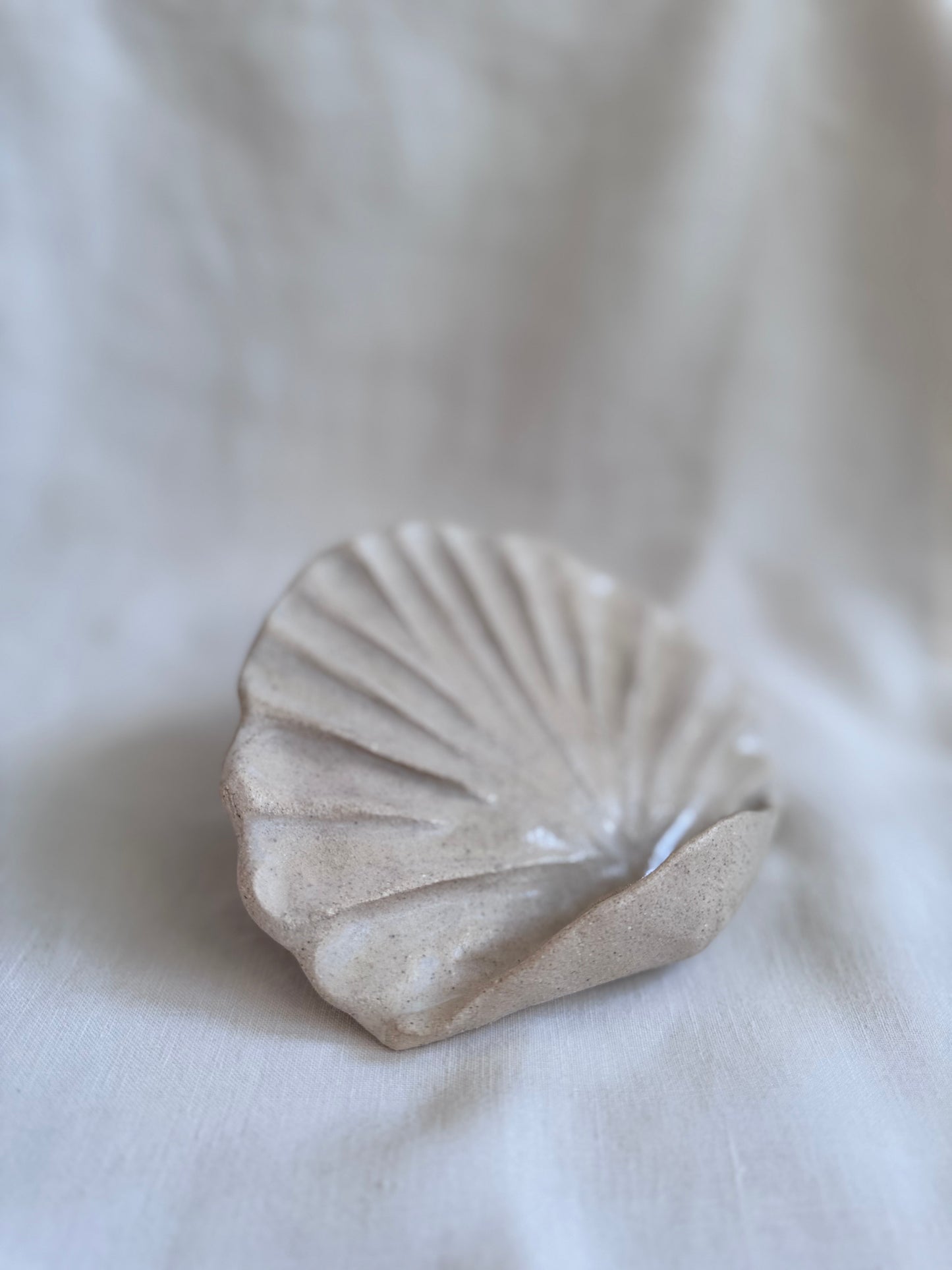 Coquillage mural émaillé