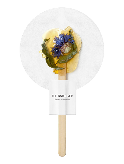 Infusion Bleuet Verveine Fleurs d'Hiver – tisane florale artisanale