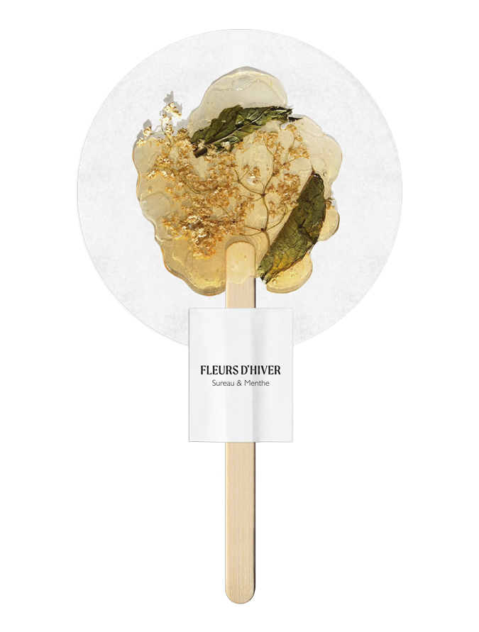 Infusion au Sureau et Menthe