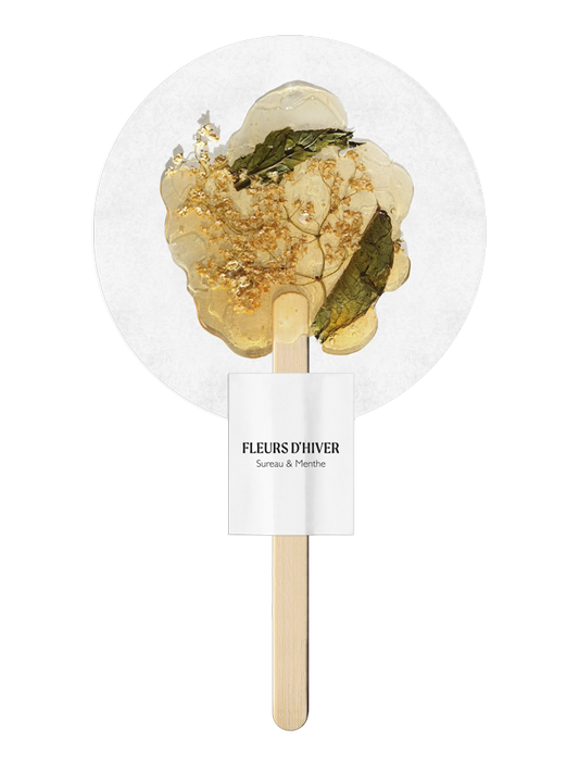 Infusion au Sureau et Menthe