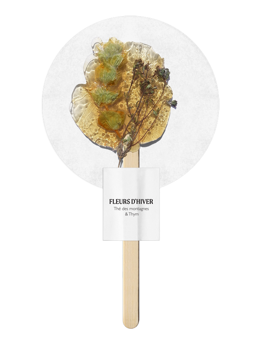 Infusion au thé des Montagnes et Thym