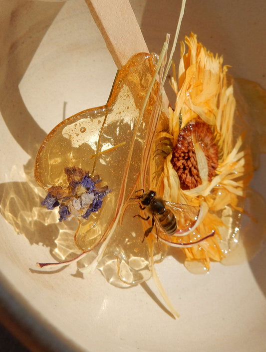 Infusion au thé des Montagnes et Thym