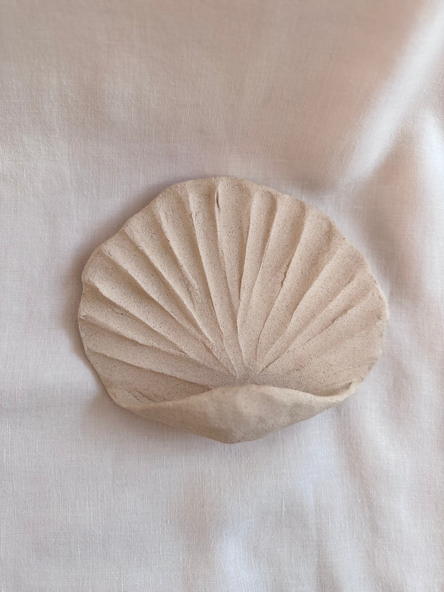 Coquillage mural brut