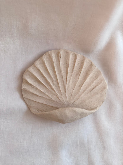 Coquillage mural brut