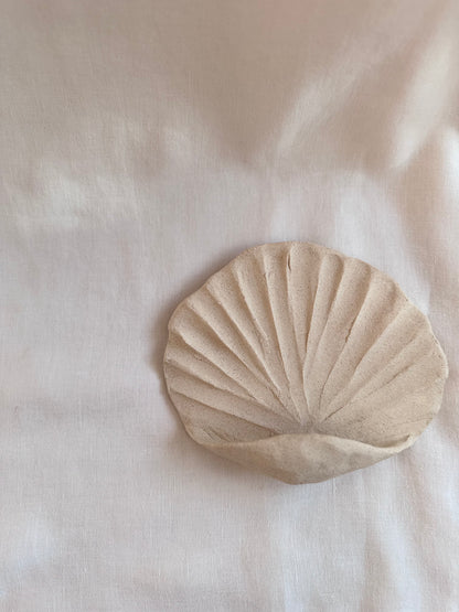 Coquillage mural brut