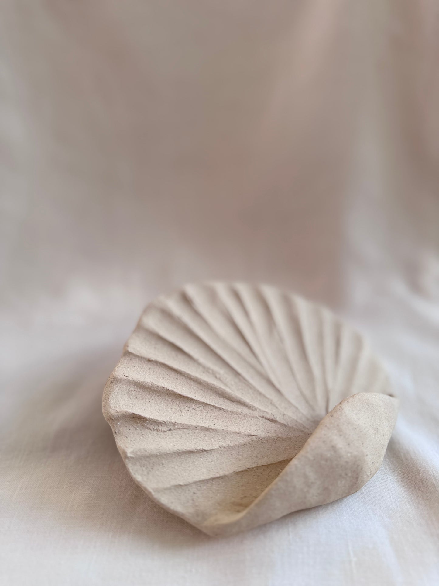 Coquillage mural brut