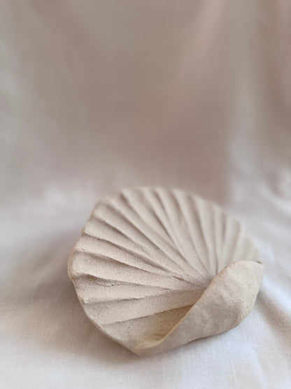 Coquillage mural brut