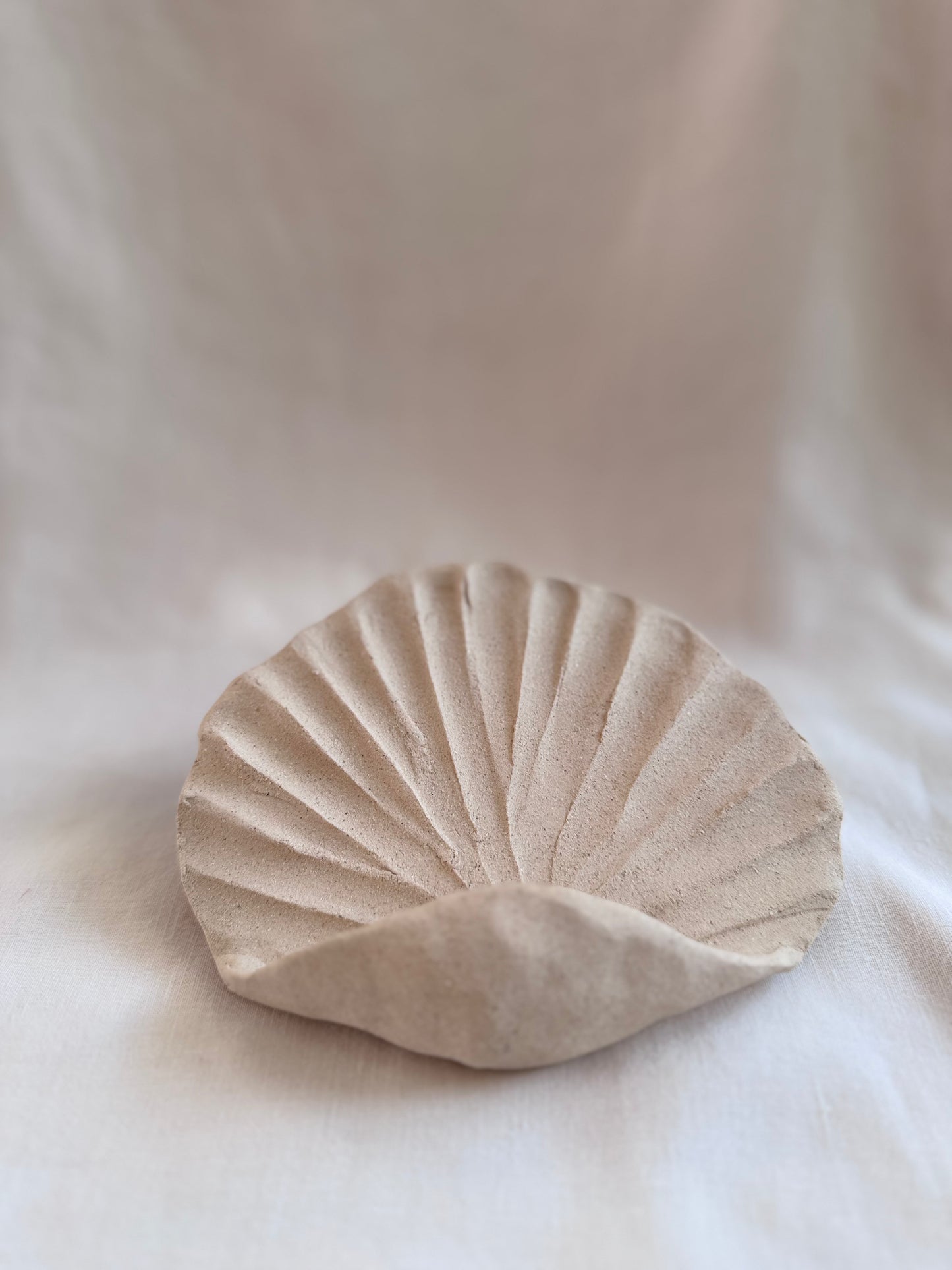 Coquillage mural brut