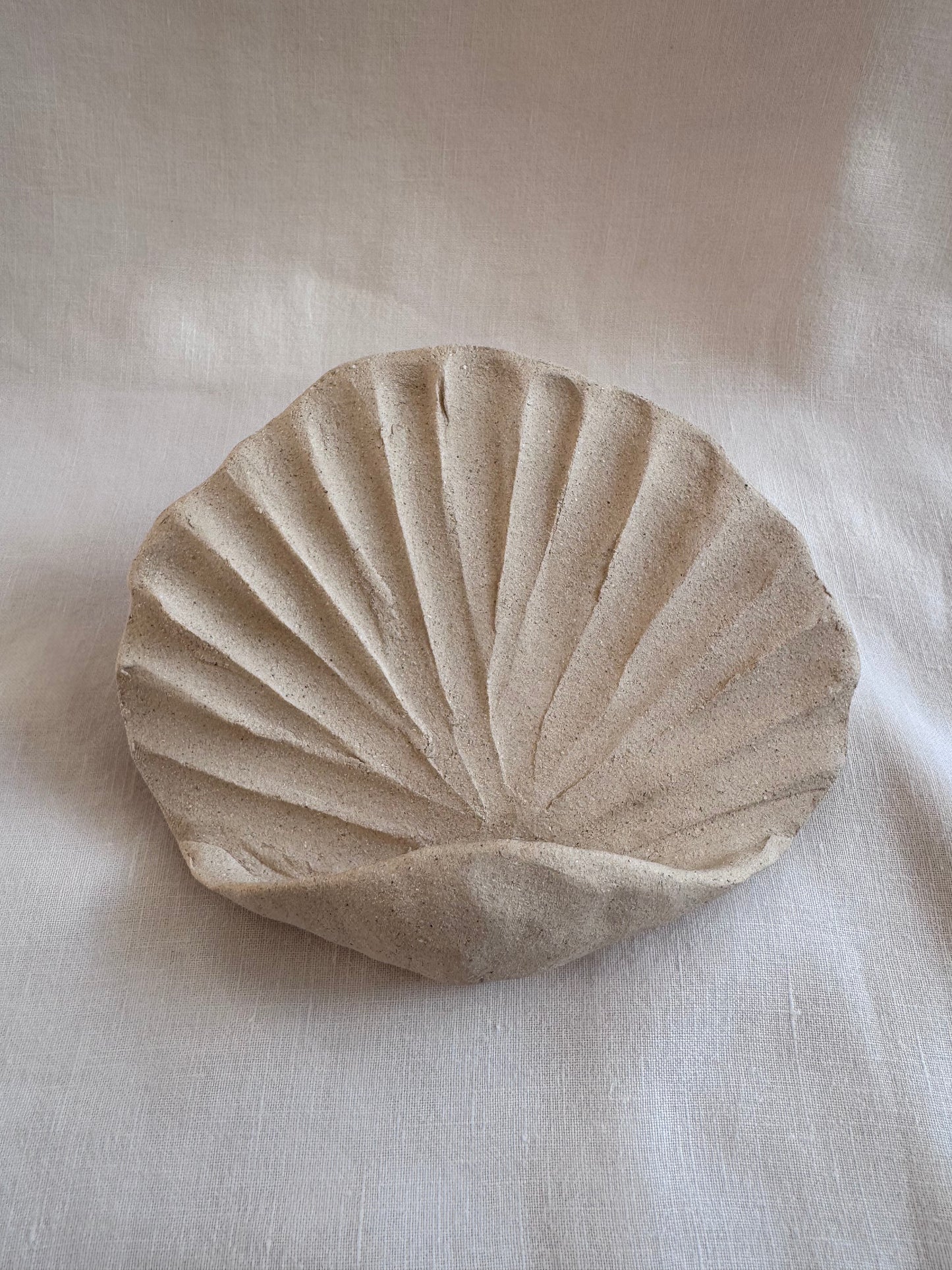 Coquillage mural brut